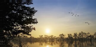 Czy PIP może przesłuchiwać pracowników?