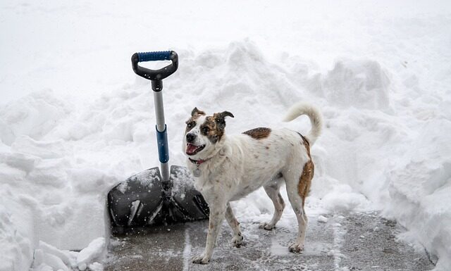Czy pulpa to przecier? Czy pulpa to przecier?