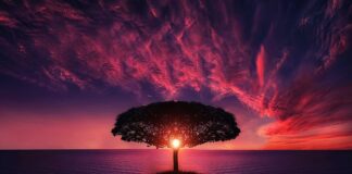 Czy da się usunąć zdjęcia z chmury?