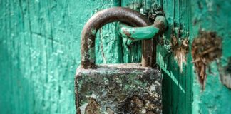 Jak bezpiecznie tworzyć wizerunek w sieci?