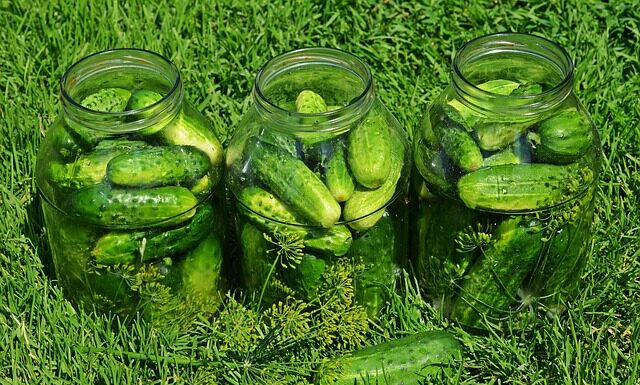 Jak kisić cukinię na zimę? Jak kisić cukinię na zimę?