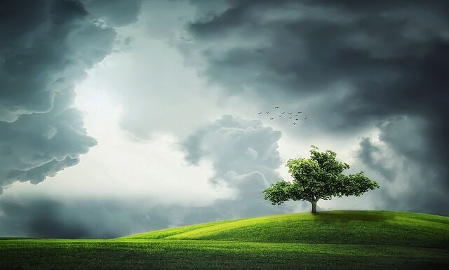 Jak zrobić zielony sok z warzyw? Jak zrobić zielony sok z warzyw?