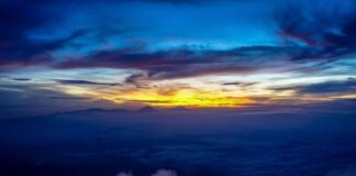 Jaki uchwyt do telefonu na motocykl?