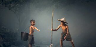 Jakie ryby biorą na kukurydzę?