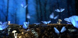 Jakie drewno na stół z żywicy?