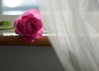 Czy firanki powinny leżeć na podłodze?