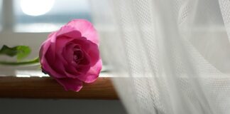 Co ile powinno się zmieniać firanki?