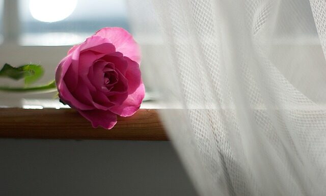 Co ile powinno się zmieniać firanki? Co ile powinno się zmieniać firanki?