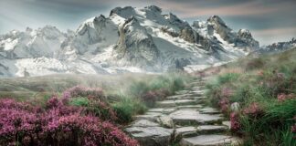 Jaki t shirt w góry?