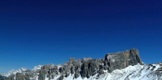 Jaki nawóz pod kukurydzę i ile?