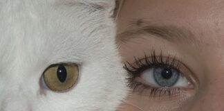 Czy membrana chroni przed wiatrem?