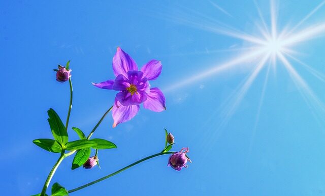 Czy można chodzić z bronią ASG?