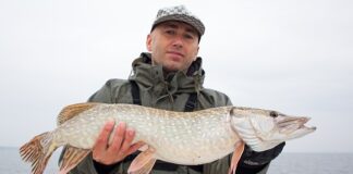 Jak długi przypon na sandacza?