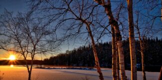 Jak nęcić na jeziorze?