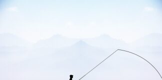 Na jaką pogodę softshell?