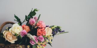 Jaki koszyk do dalekich rzutów?