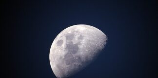 Czy polar jest zdrowy?