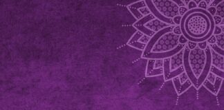 Jaki jest mandat za brak koszulki?