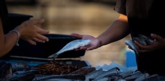 Jak zacząć sprzedawać koszulki?