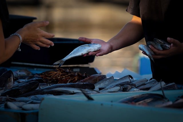 Jak zacząć sprzedawać koszulki? Jak zacząć sprzedawać koszulki?