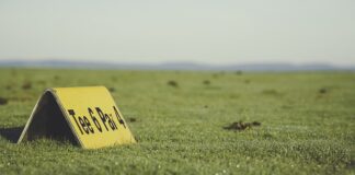 Gdzie można kupić koszulkę Lewandowskiego?