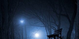 Ile Polska dostała za wyjście z grupy?