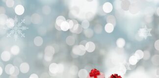 Jaka torba na bagażnik rowerowy?