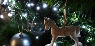 Dlaczego za zdjęcie koszulki dostaje się żółtą kartkę?