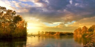 Jakie kolory lubi pstrąg?