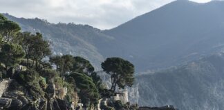 Ile kosztuje godzina gotowania na kuchence gazowej?