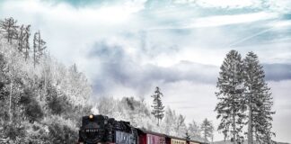 Czy pstrąg bierze na kukurydzę?