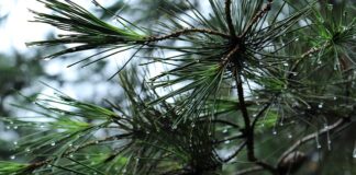 Czy do każdego roweru można zamontować bagażnik?