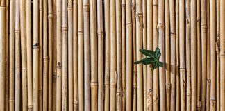 Co to jest sztywna oś w rowerze?