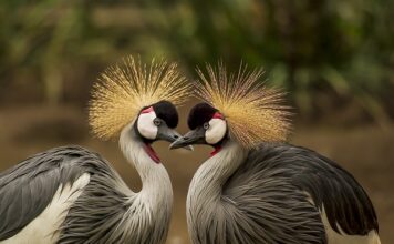 Jak się pierze majtki menstruacyjne?