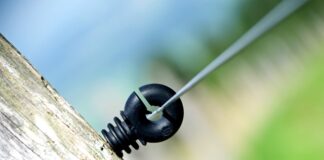 Ile Polaków gra w NBA?