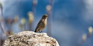 Jak pozbyć się pleśni z kubka?