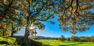 Czy tor do kręgli jest płaski?