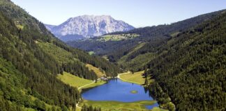 Jakie kolor gumy na pstrąga?